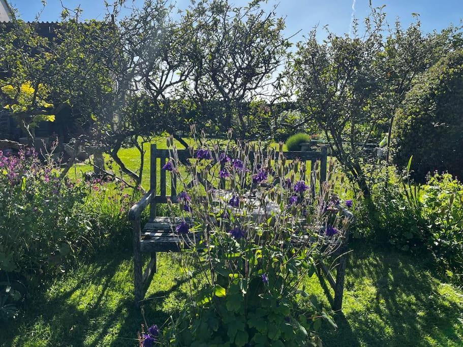 Byre - Farm Cottage On 9 Acre Equestrian Small Holding Salisbury Exterior photo