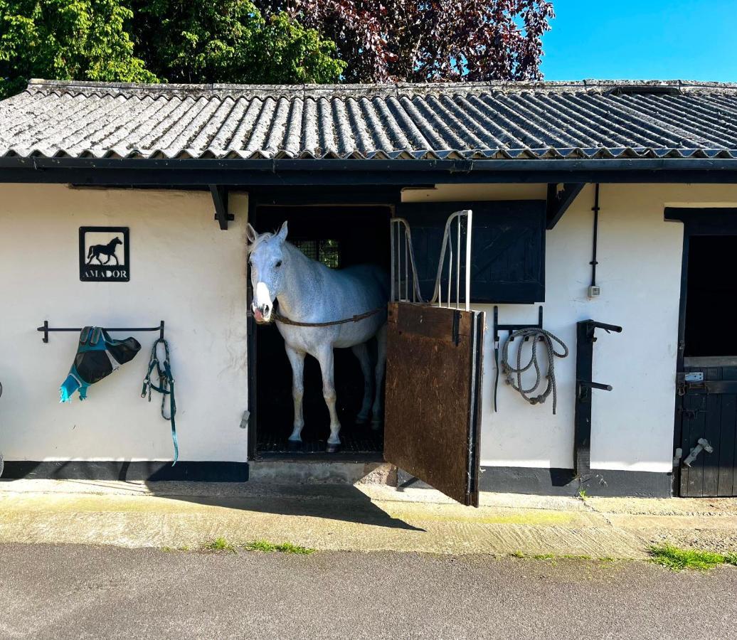 Byre - Farm Cottage On 9 Acre Equestrian Small Holding Salisbury Exterior photo